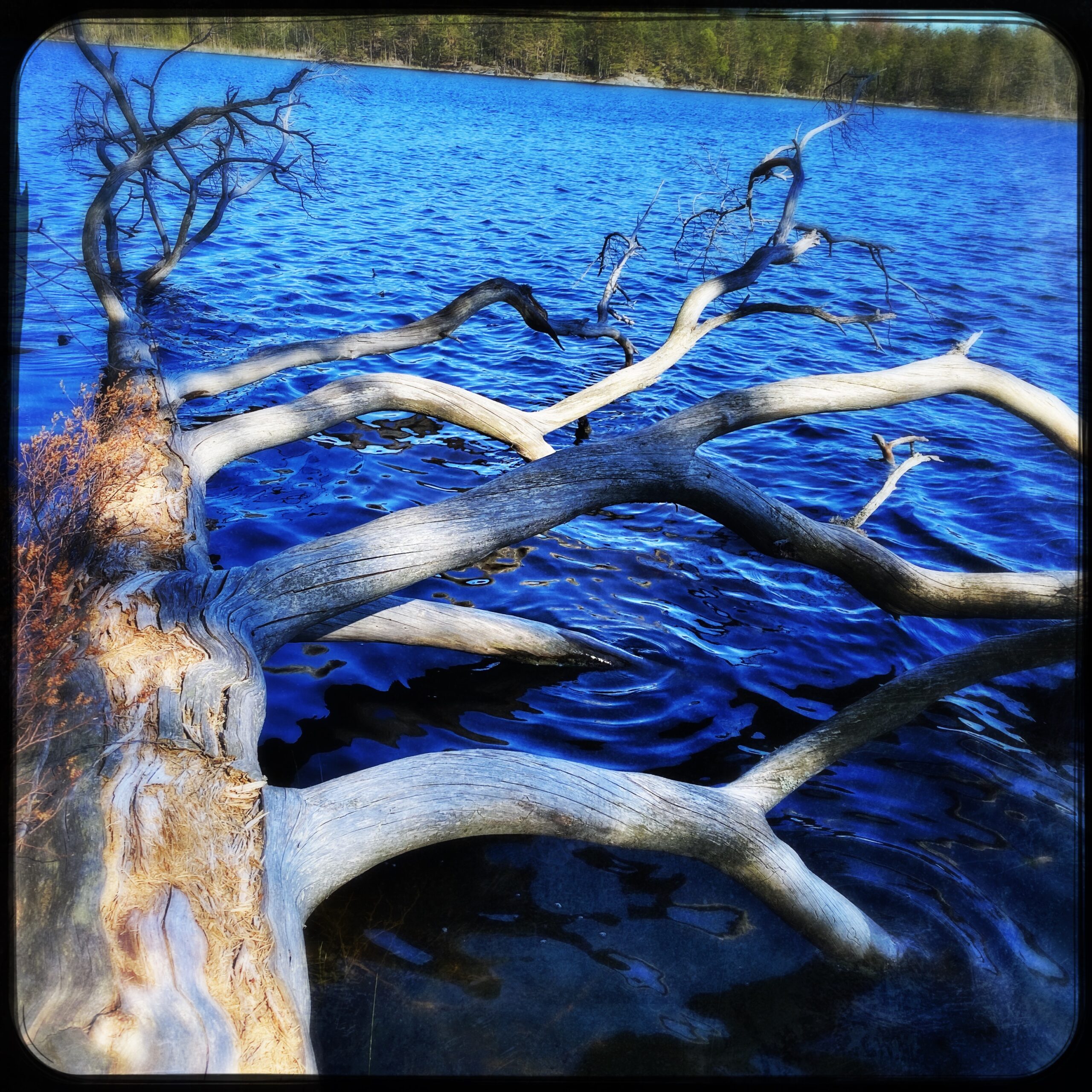 HipstamaticPhoto-611762529.227183