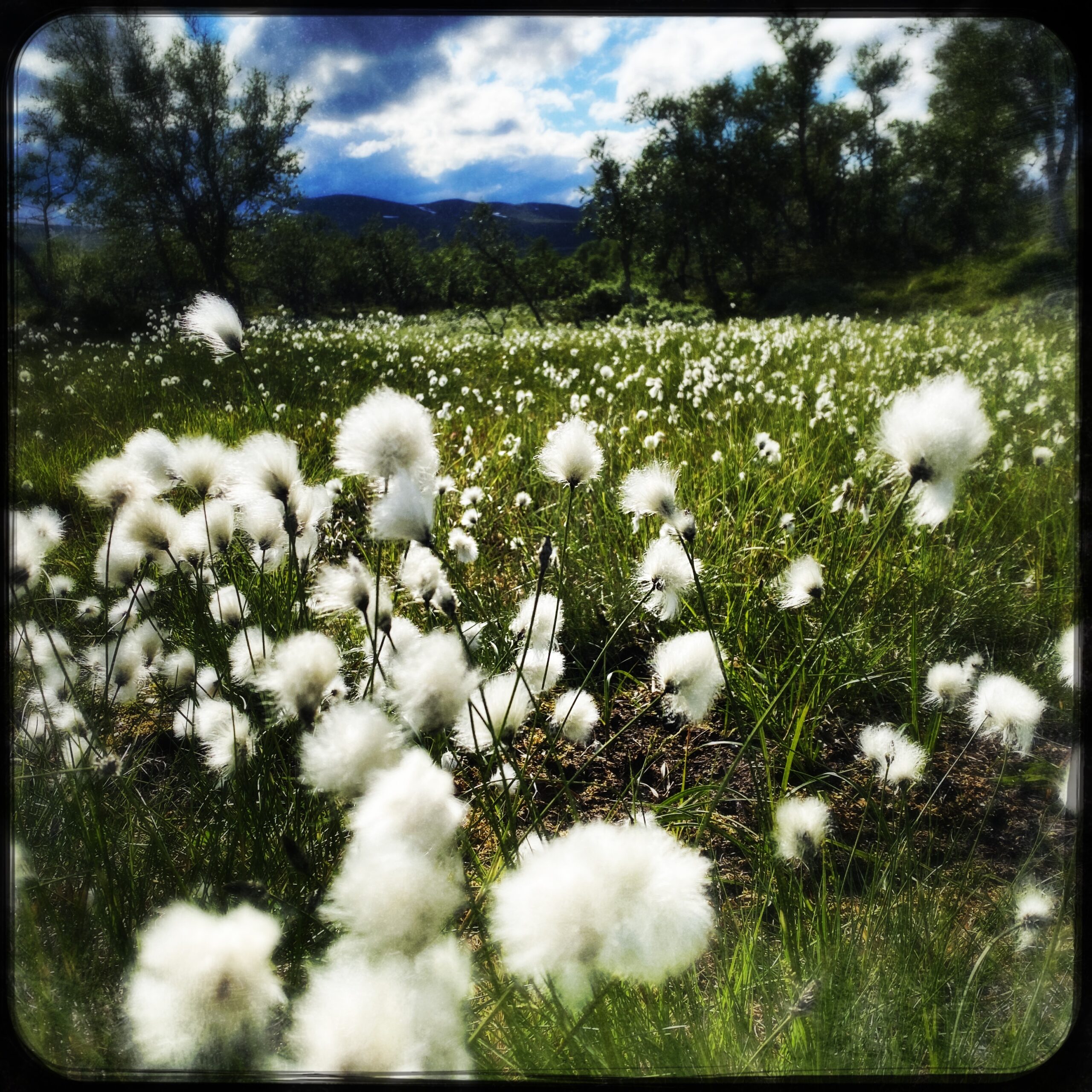 HipstamaticPhoto-615313104.888159