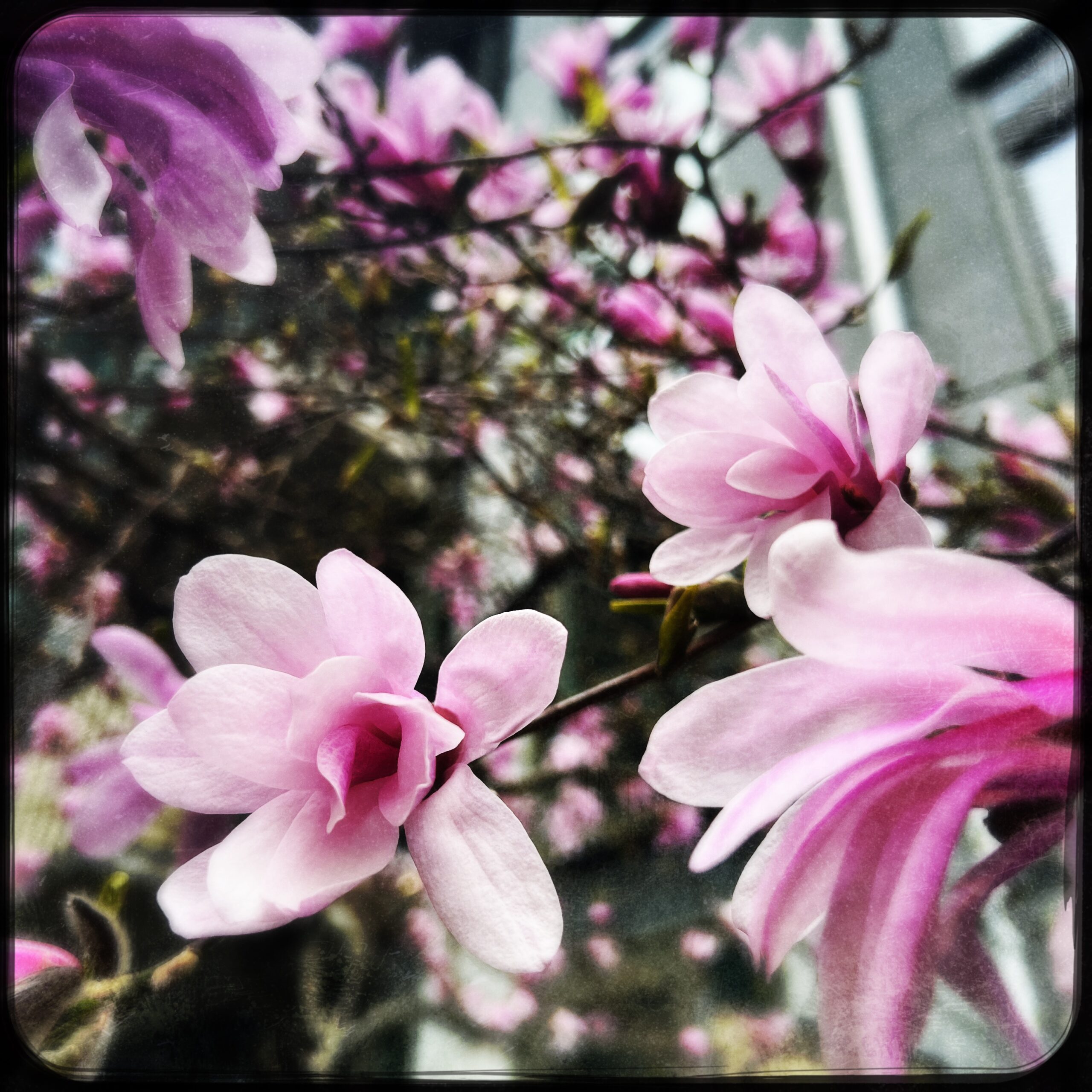 HipstamaticPhoto-767016063.077443